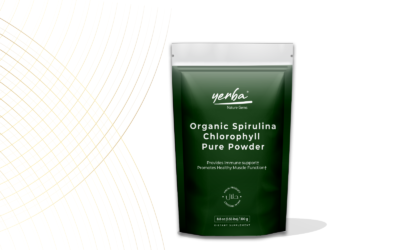 Organic Spirulina Chlorophyll Pure Powder